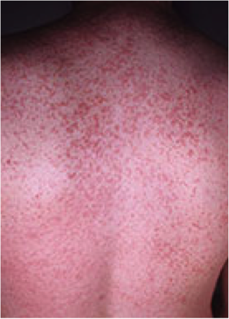 Watch This Guy Smash An Underwater Bench Press World File