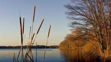 Types Of Providers In Hospitals